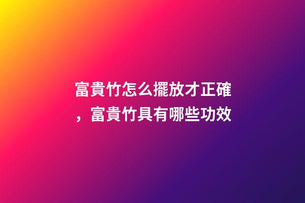 富貴竹怎么擺放才正確，富貴竹具有哪些功效